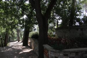 le mas des ecureuils