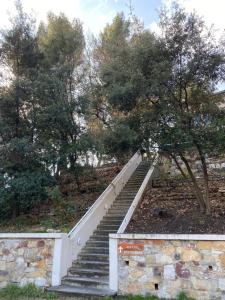 le mas des ecureuils