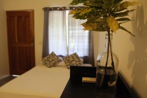 Cabinas Playa Surf Hostel,Santa Teresa,3 star