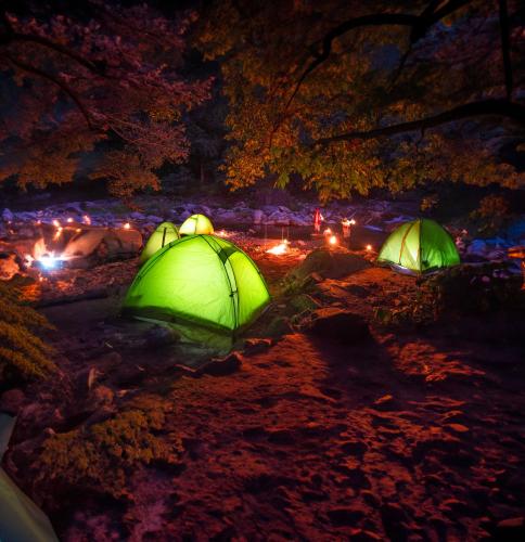 ranakpur safari resort