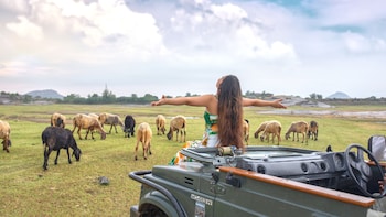 ranakpur safari resort