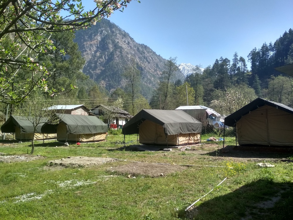 kasol