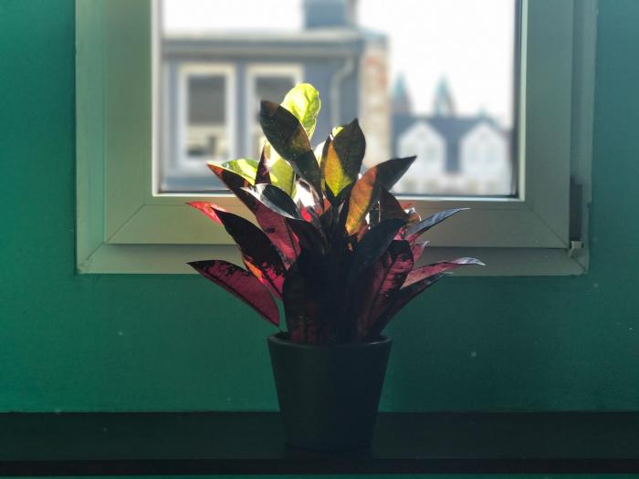 smarthotel mystique self check in