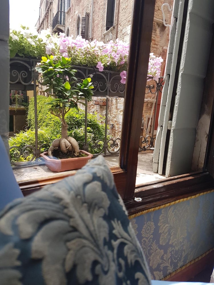 friendly venice suites