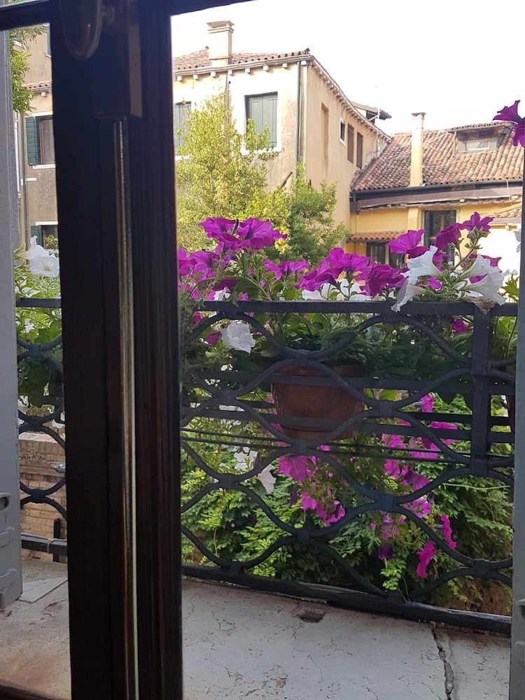 friendly venice suites