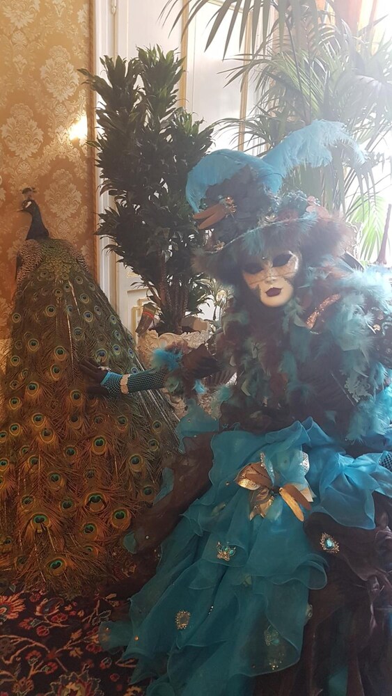 friendly venice suites