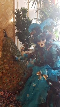 friendly venice suites