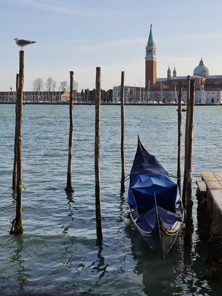 friendly venice suites