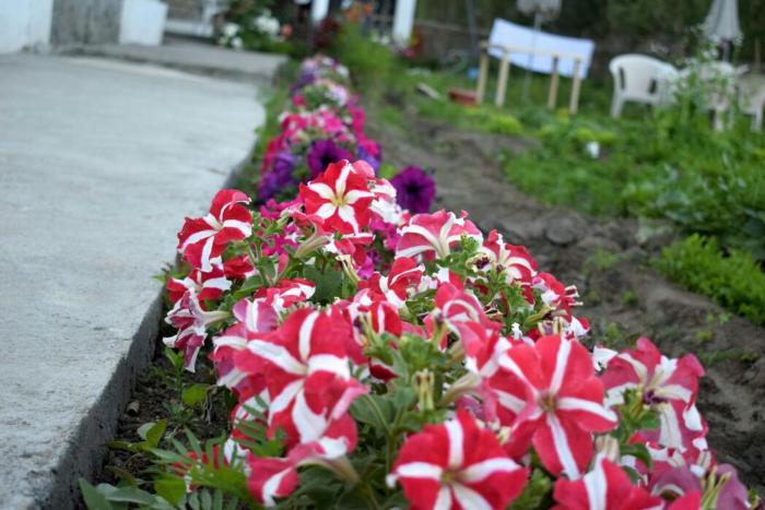 adus eternal comfort