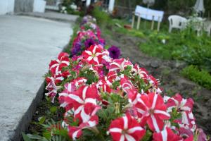 adus eternal comfort