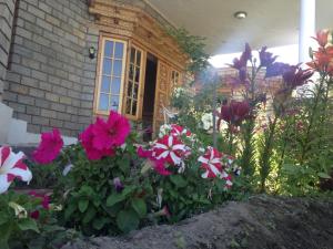 adus eternal comfort