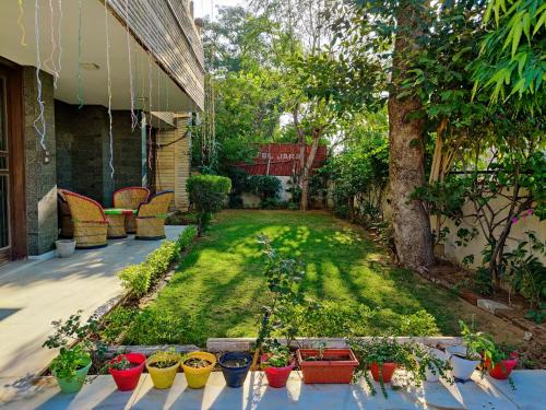 hoztel jaipur hostel