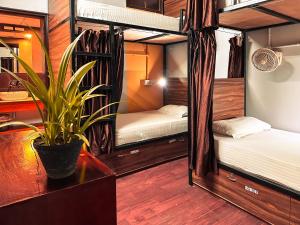 hoztel jaipur hostel