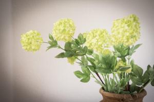 Hotel Eifellust,Cochem>>Bremm,3 star