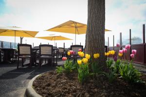 hotel le sainte mere