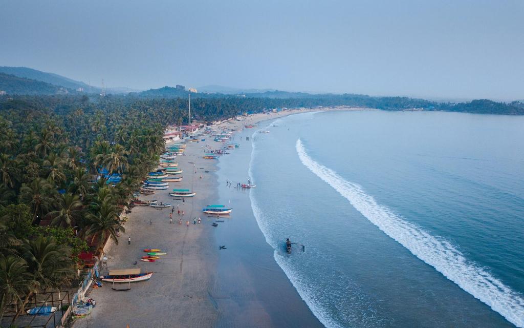 goa