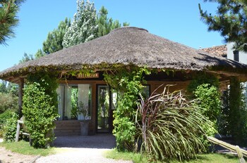 jose ignacio