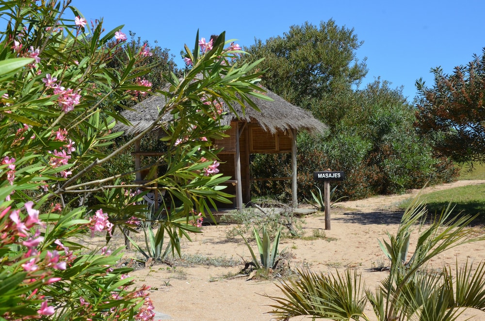 jose ignacio