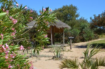 jose ignacio