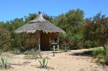jose ignacio
