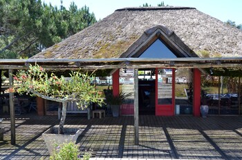 jose ignacio