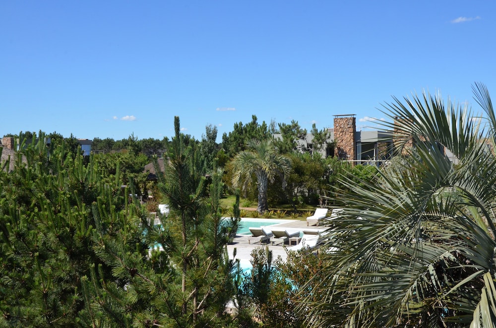 jose ignacio