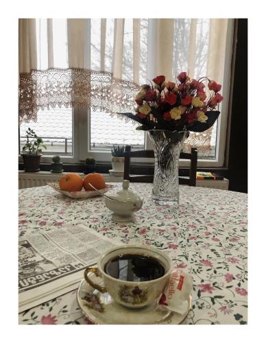 Mimino,Tskaltubo>>Kutaisi,2 star