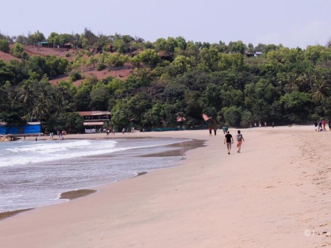 lotus beach resort