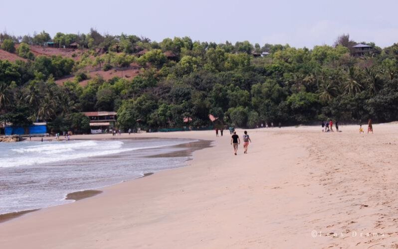 lotus beach resort