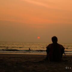 lotus beach resort