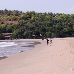 lotus beach resort