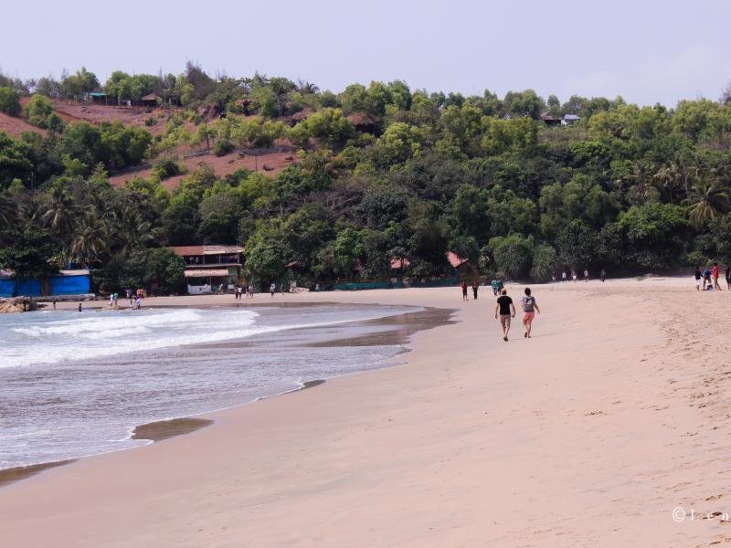 lotus beach resort