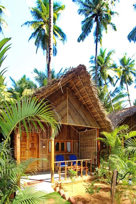 agonda