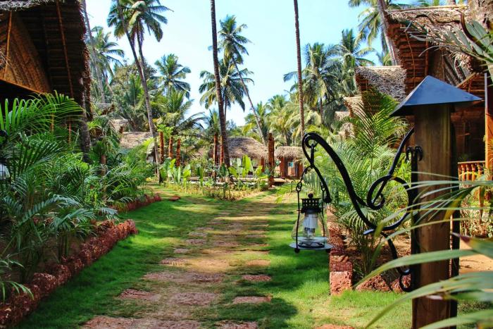 agonda