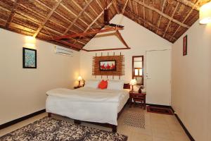 agonda
