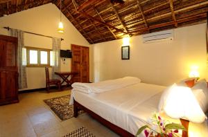 agonda