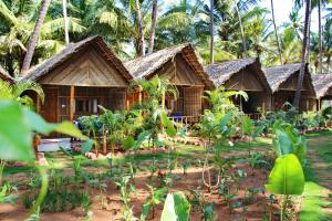 agonda