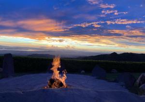 hotel tropico monteverde
