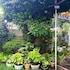 dehradun