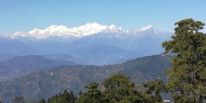 darjeeling