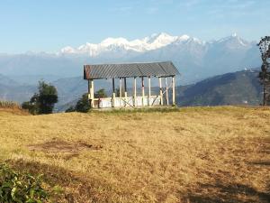 darjeeling