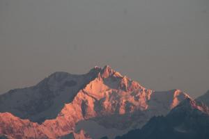 darjeeling