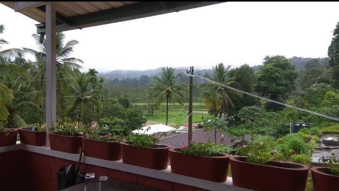 camp coorg estate homestay