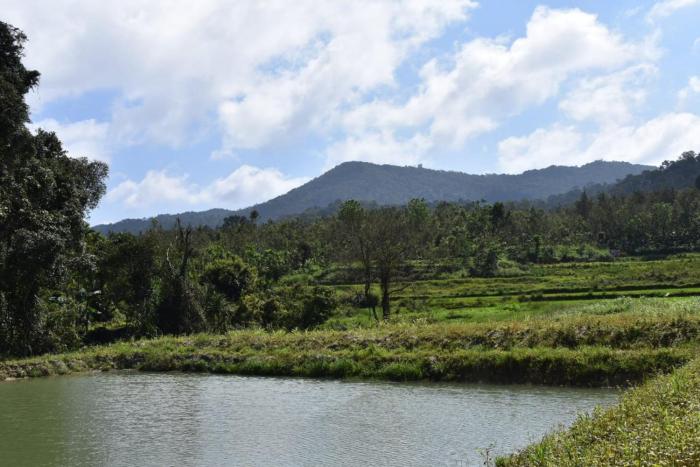 camp coorg estate homestay