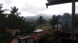 camp coorg estate homestay