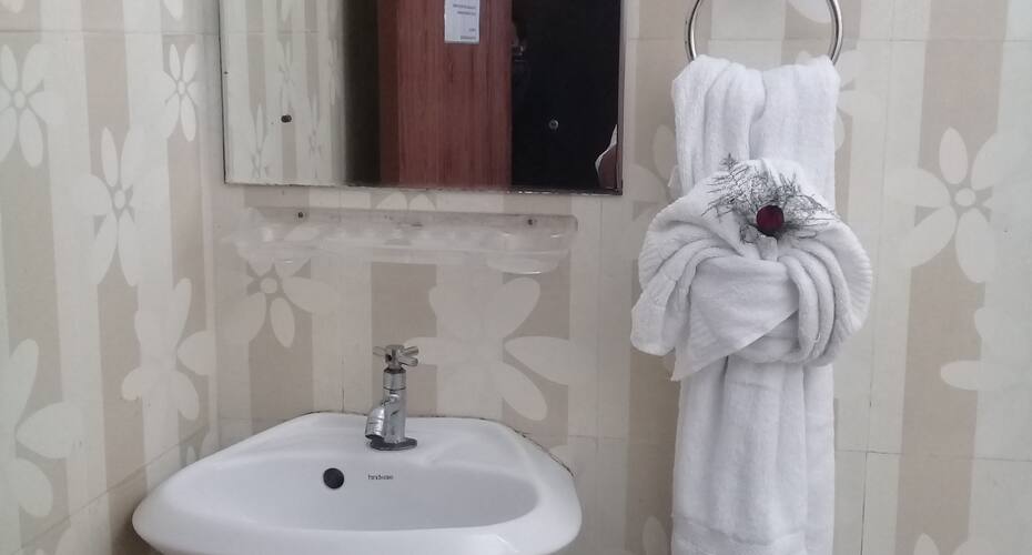 hotel balaji international