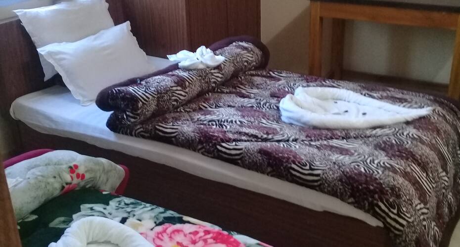 hotel balaji international