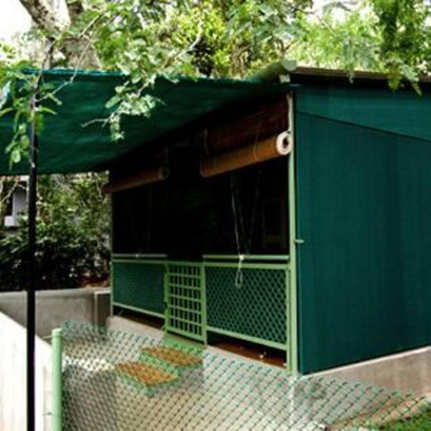 tranquil nest resort thandikudi