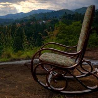 tranquil nest resort thandikudi