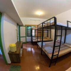 tranquil nest resort thandikudi